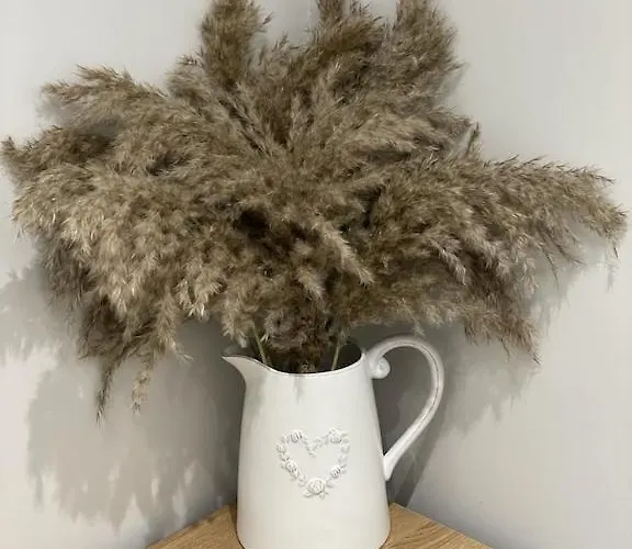 Quirky In The Centre Of With A Hot Tub 彭里斯